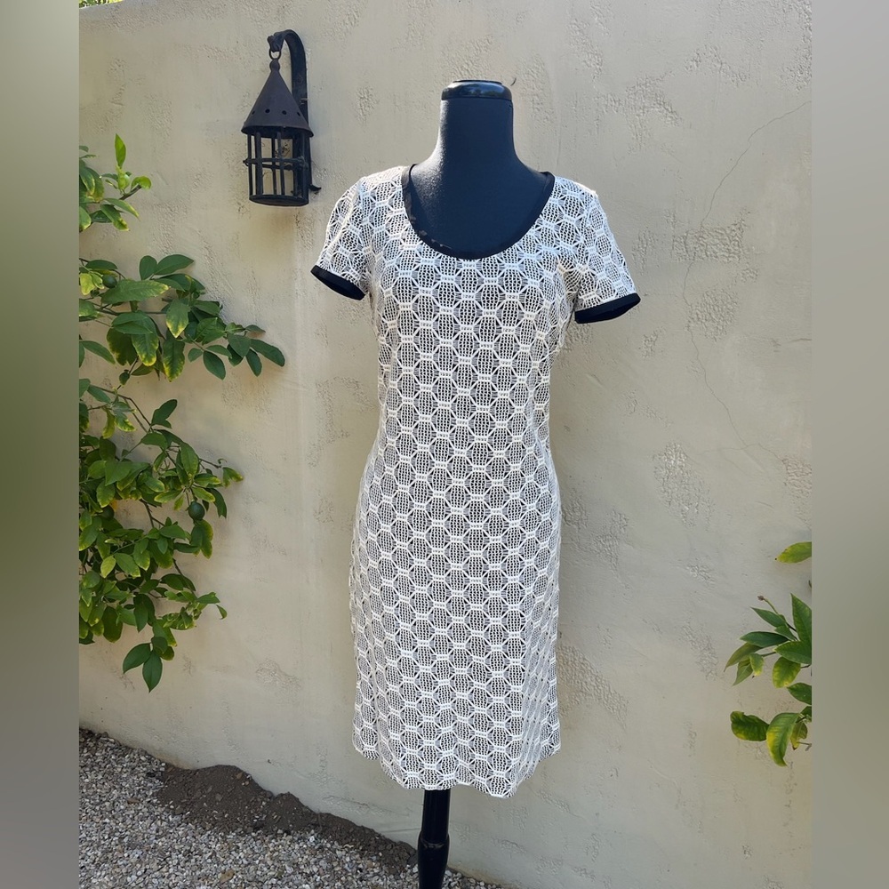Etcetera Black and White Lace Overlay Midi Dress